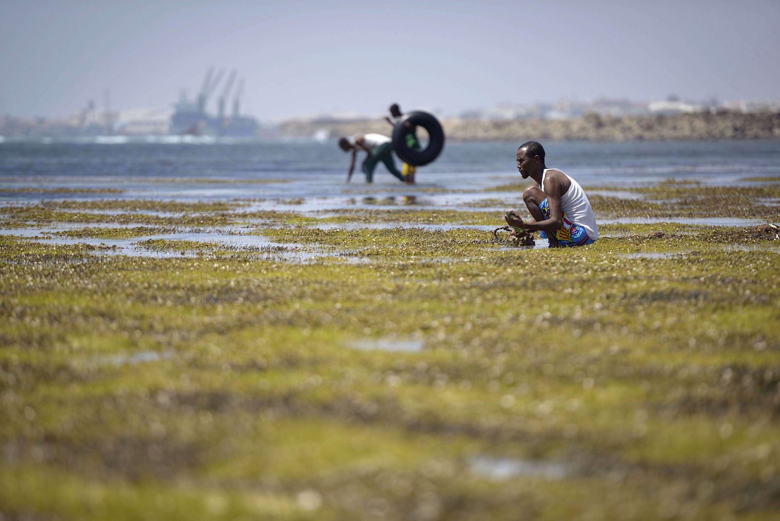 Más de 850.000 personas necesitan ayuda urgente por falta de comida en Somalia, según la ONU