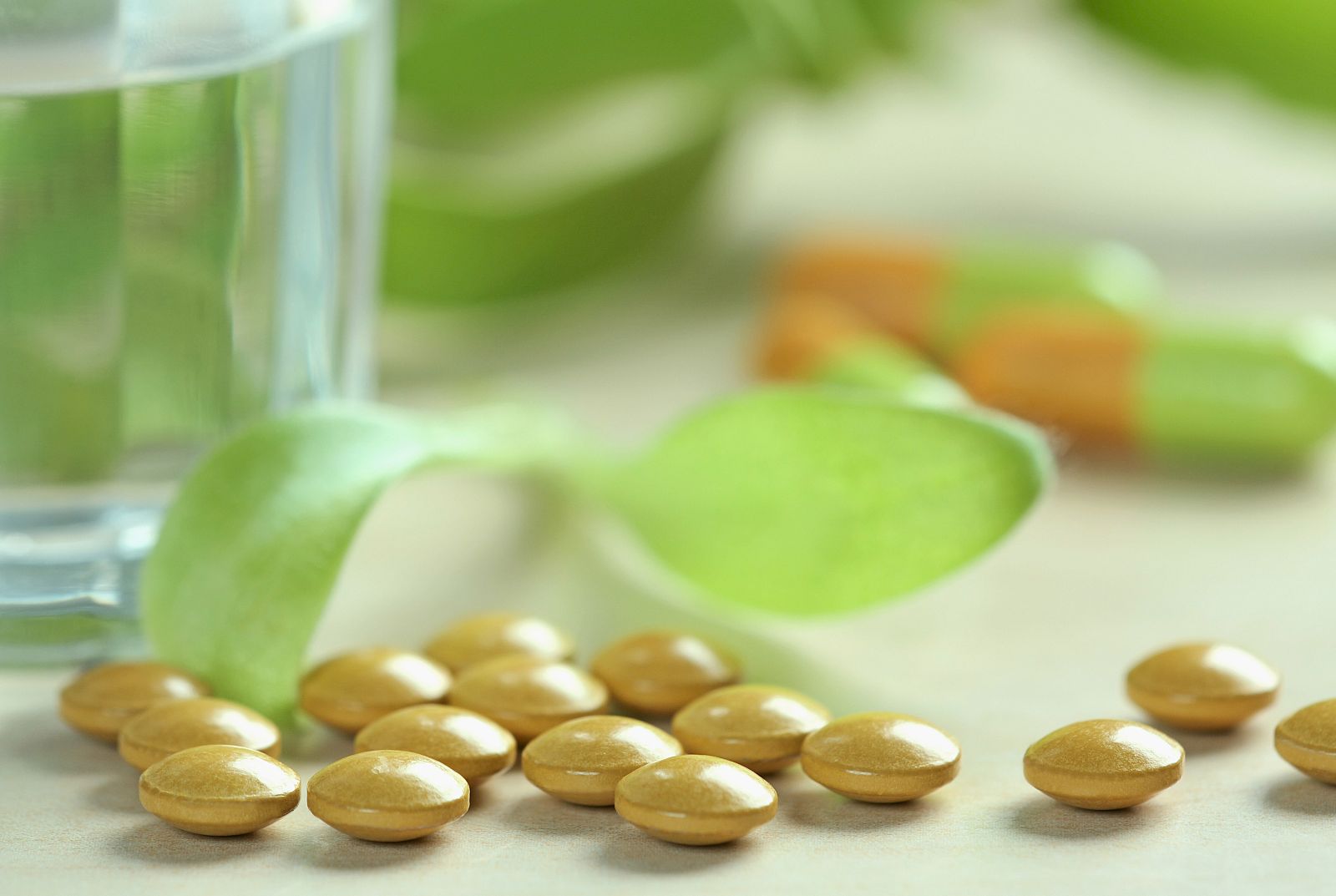 Hierbas medicinales.