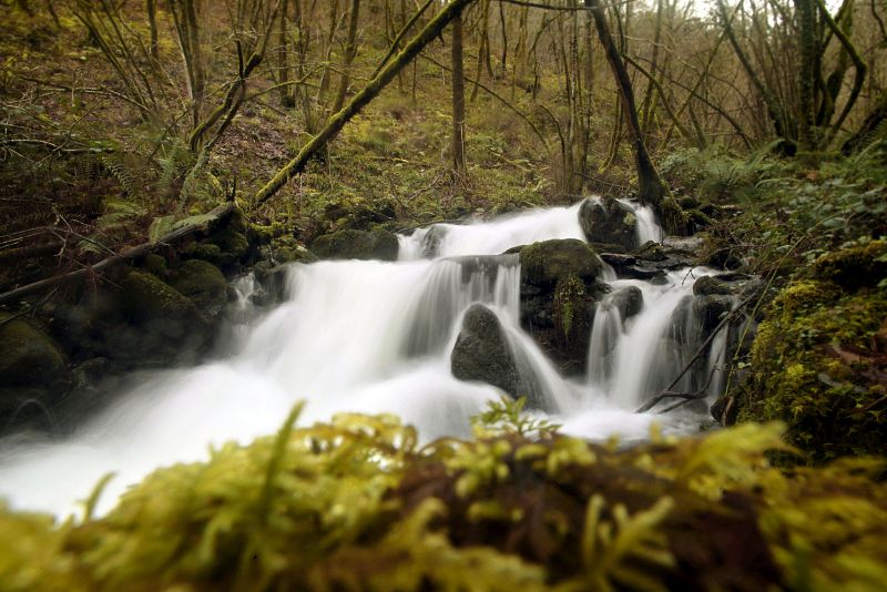 La Politécnica investiga en detección temprana de contaminantes en los ríos