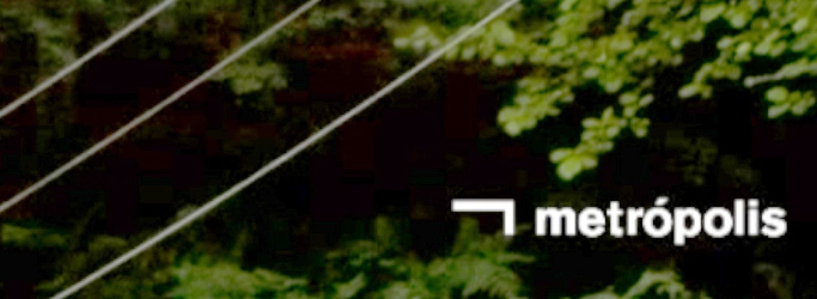 metropolis convocatoria
