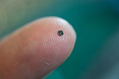 Un chip que proporciona imágenes 3D desde el interior de los vasos sanguíneos