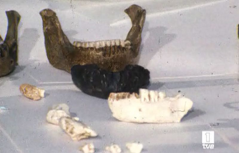 Atapuerca: la cuna del hombre