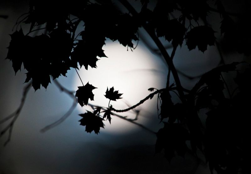 Arranca la primavera que tendrá dos eclipses, uno de sol y uno total de luna