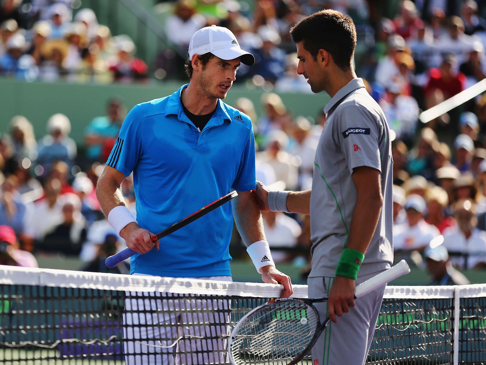 Djokovic y Murray se saludan al término del partido