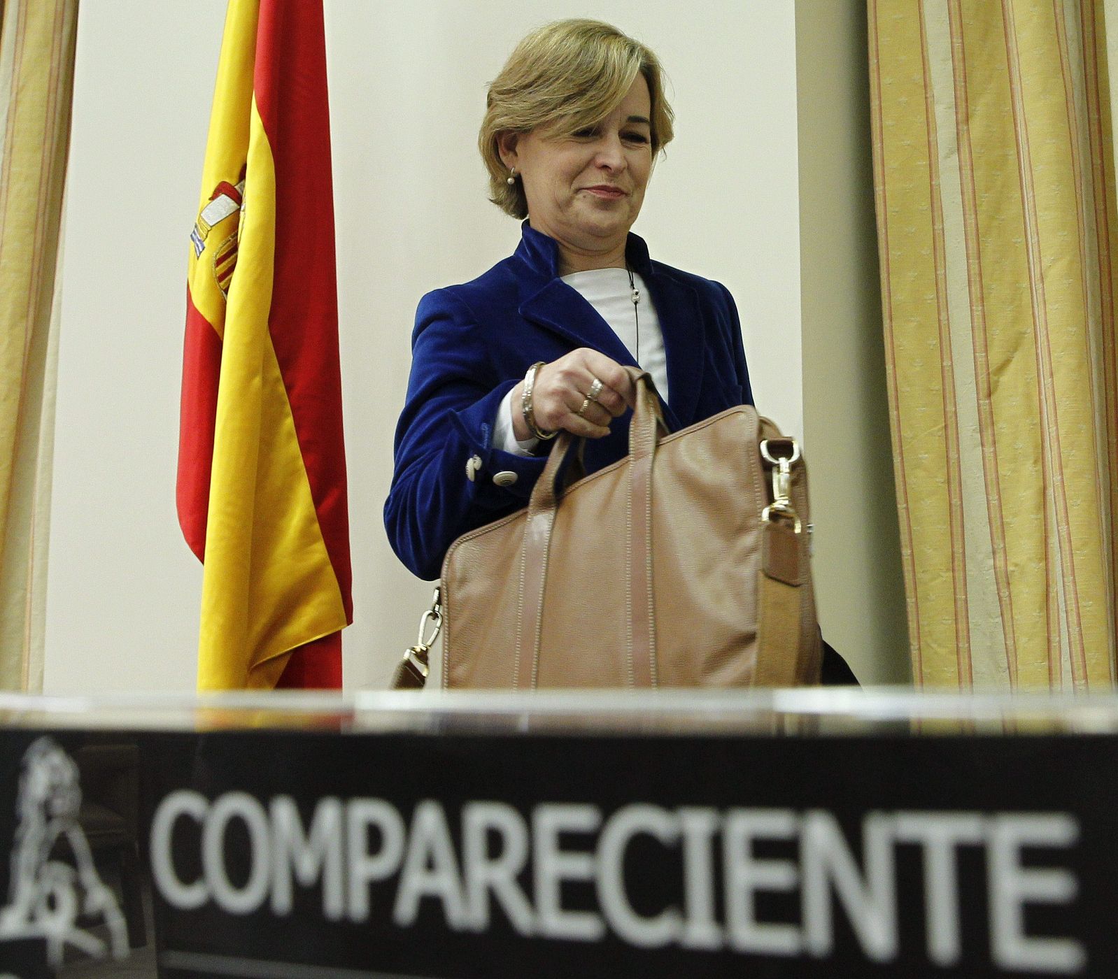 COMPARECENCIA DE LA PRESIDENTA DEL SAREB EN EL CONGRESO