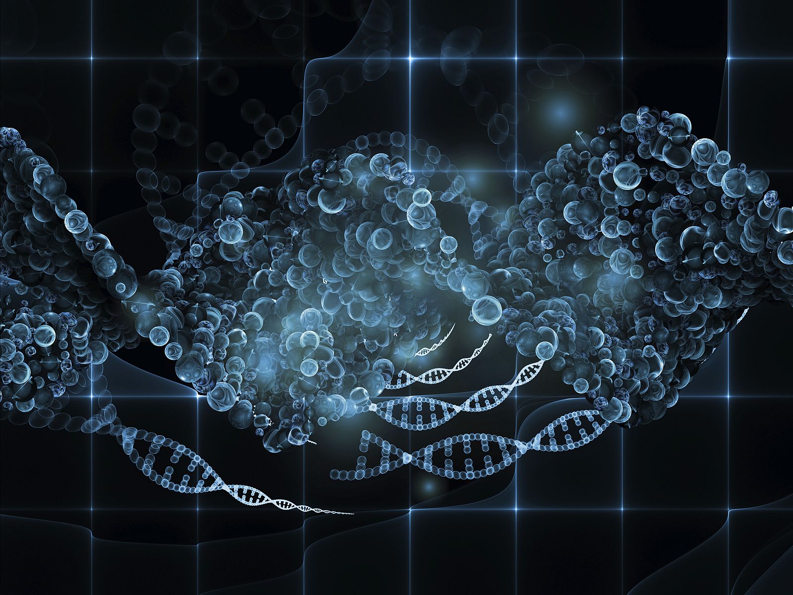 Visualización de moléculas de ADN.