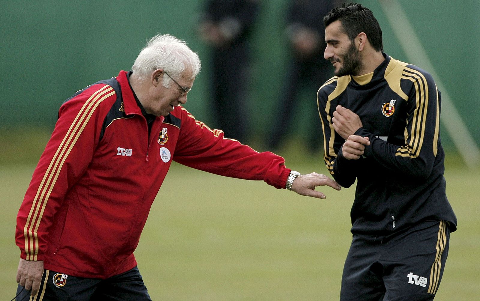 El seleccionador español, Luis Aragonés alineará al delantero del Mallorca, Dani Güiza, en el once inicial.