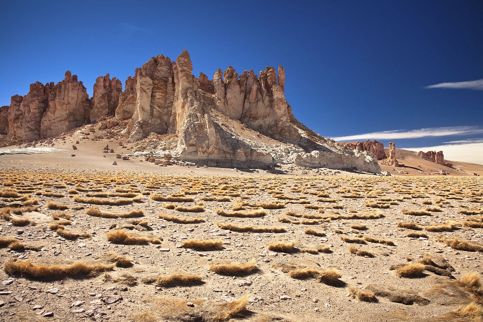 Salar en el desierto de Atacama en Chile