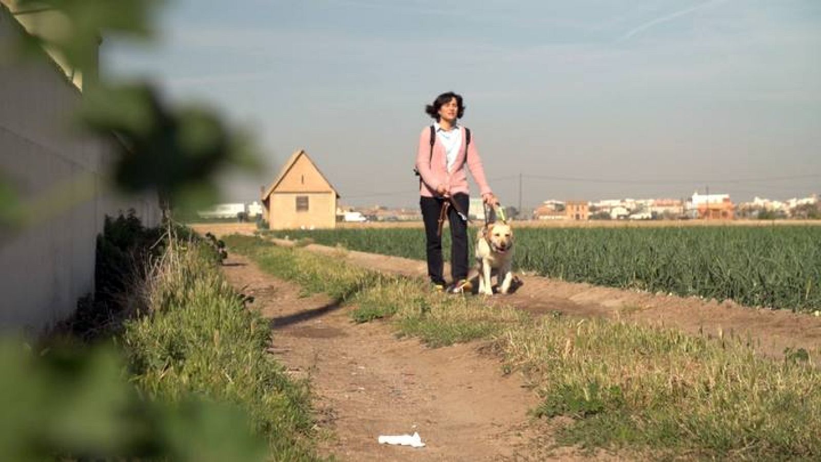 Con mis ojos - Sensaciones de Valencia