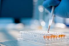 Científicos españoles alertan de que la investigación pública está en "serio peligro"