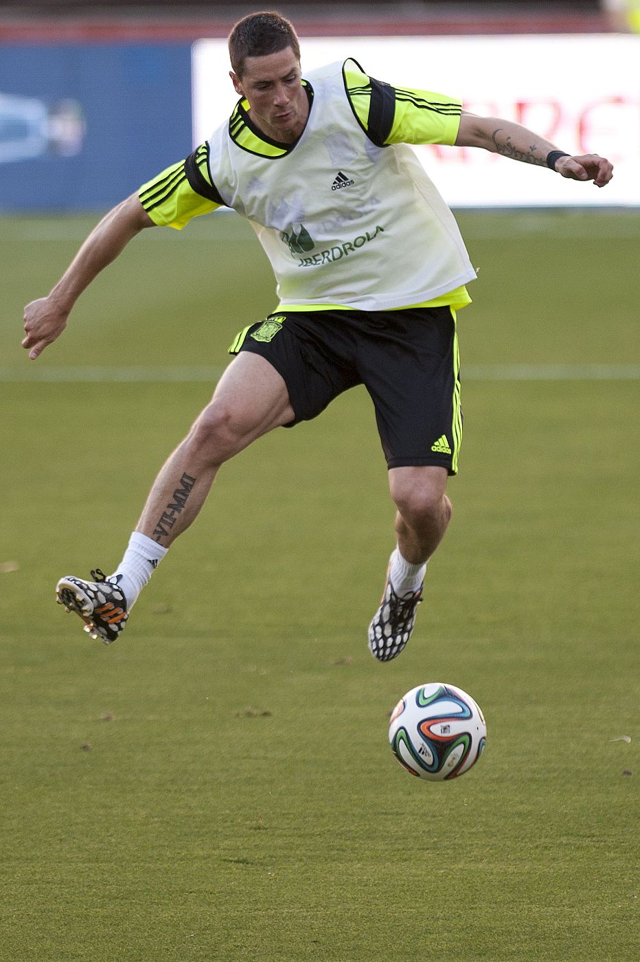 Fernando Torres