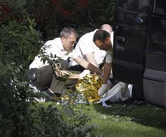 Muere un hombre al caerle encima la rama de un árbol en el Retiro de Madrid