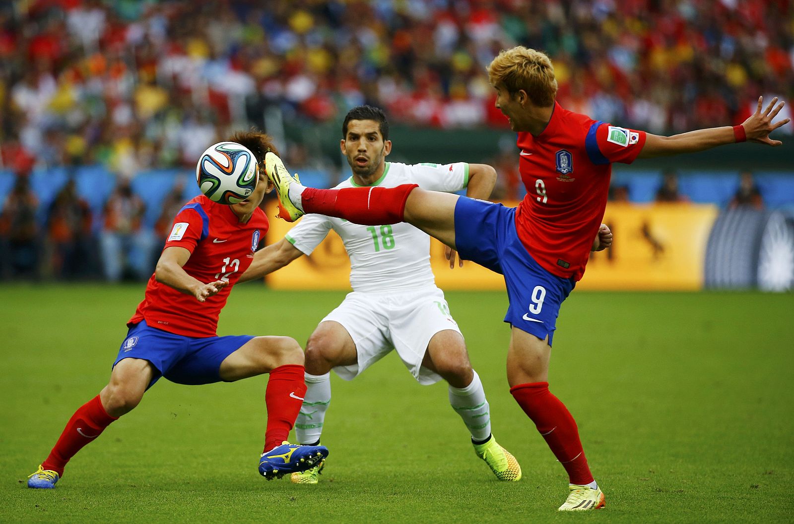 Algeria's Djabou fights for the ball with South Korea's Lee and Son during their 2014 World Cup Group H soccer match at the Beira Rio stadium in Porto Alegre