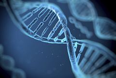 Un estudio liderado por el CSIC ayudará a entender el origen del cáncer de mama y ovario
