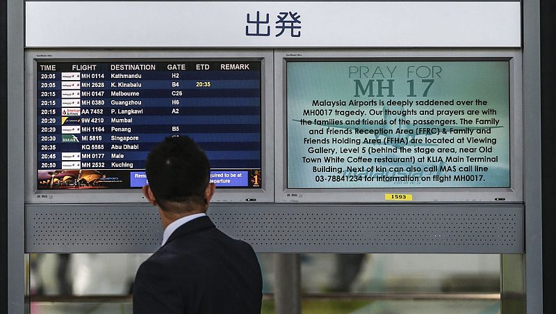 El holandés Joep Lange, un experto mundial sobre sida, entre las víctimas del avión siniestrado