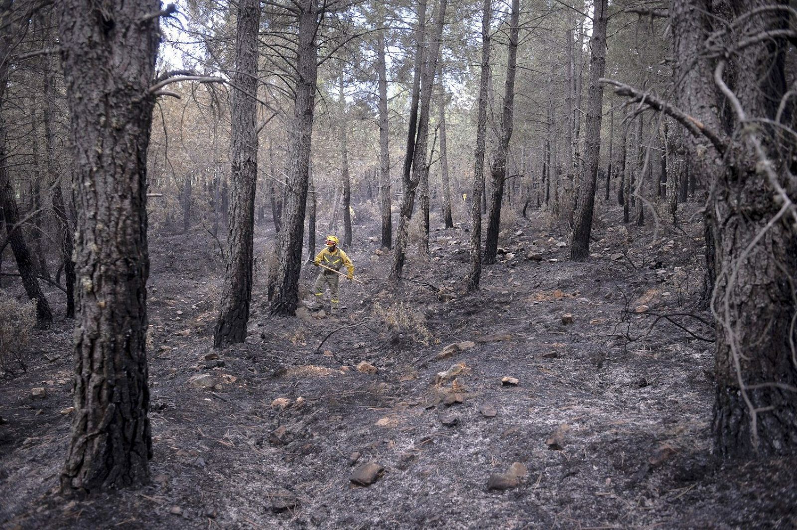 MEJORAN LOS FUEGOS DE GUADALAJARA, QUE ABARCAN PERÍMETRO DE 3.100 HECTÁREAS