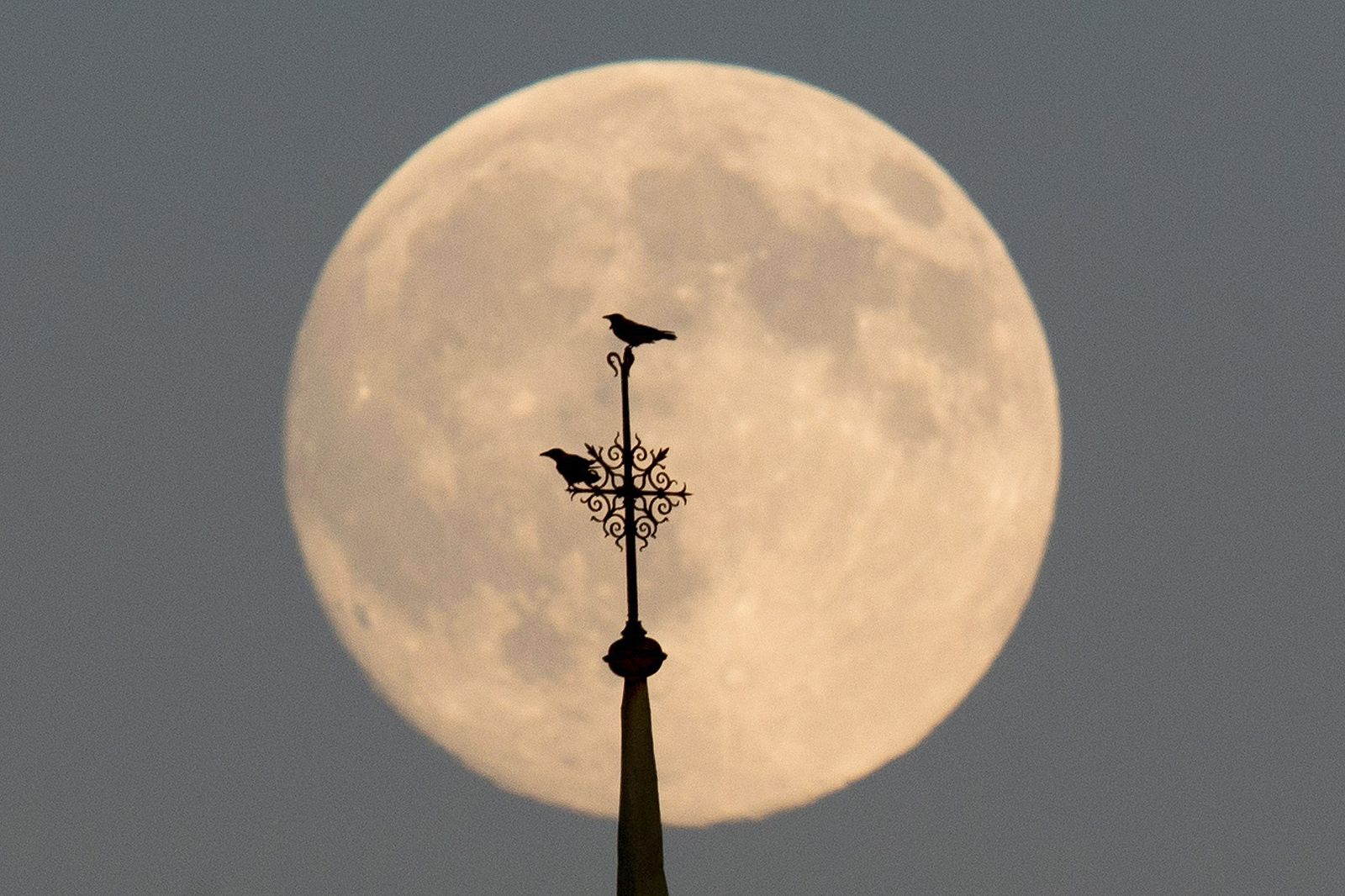 La luna llena vista sobre el cielo de Berlín, Alemania.