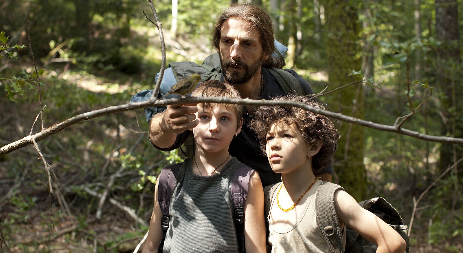 Vie sauvage (Wild life)