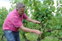 Bruselas destinará 125 millones para compensar a productores hortofrutícolas por el veto ruso