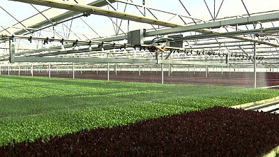 La Comisión Europea aprueba definitivamente el plan español para la nueva PAC