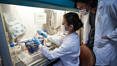 España entra en la recta final para la vacuna del VIH: se buscan voluntarios contra reloj