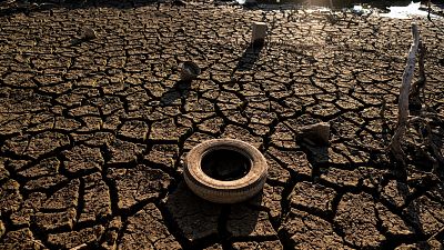 Sequías extremas, lluvias torrenciales y epidemias: el futuro incierto que nos depara el "caos climático" ya está aquí