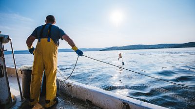 El Gobierno aprueba el proyecto de ley de pesca sostenible, que busca un uso más flexible de las cuotas pesqueras