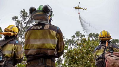 El incendio de Tenerife baja al nivel 1 de emergencia pese a las reactivaciones dentro del perímetro