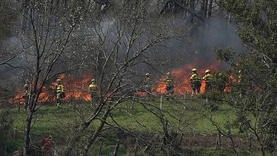 Casi un centenar de incendios calcinan Asturias y las llamas llegan a Oviedo
