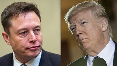 Elon Musk restablece la cuenta de Twitter de Donald Trump