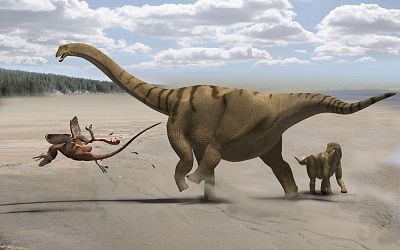 Un grupo de dinosaurios sobrevivió al meteorito Un grupo de dinosaurios sobrevivió al meteorito