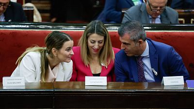 El PP carga en el Senado contra la "indignidad" de la amnistía: "Si triunfa, pronto no habrá españoles"