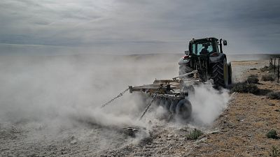 El Gobierno aprueba un paquete de ayudas e inversiones de 2.190 millones ante unas sequías "cada vez más frecuentes"