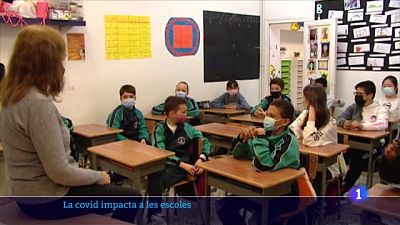 USTEC demana a la Generalitat que no acati la sentència del 25% de castellà a les aules