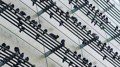 Trabajar para vivir o vivir para trabajar: así pasa factura el agotamiento laboral