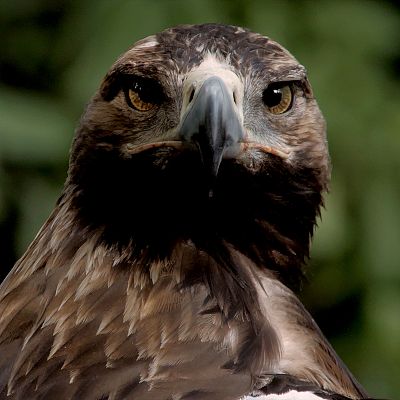 Una banda muy salvaje