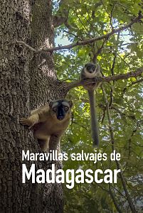Maravillas salvajes de Madagascar