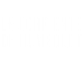 La corriente de Humboldt