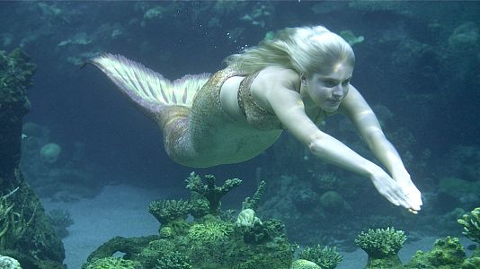 Las sirenas de Mako en inglés