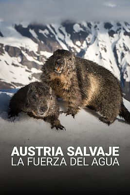 Austria salvaje. La fuerza del agua