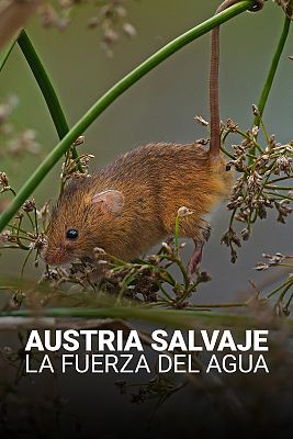 Austria salvaje. La fuerza del agua