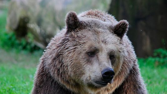 Italia. El último territorio salvaje