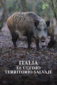 Italia. El último territorio salvaje