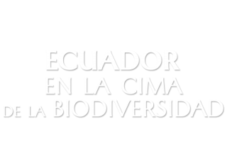 Ecuador en la cima de la diversidad