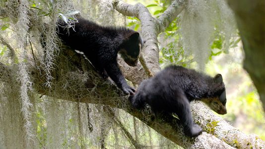 Ecuador en la cima de la diversidad