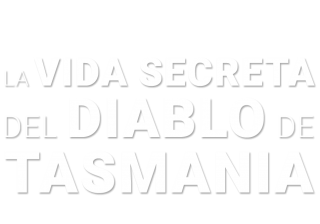 La vida secreta del demonio de Tasmania