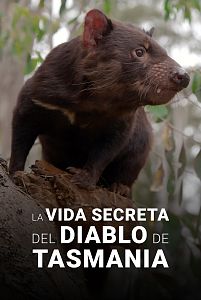 La vida secreta del demonio de Tasmania