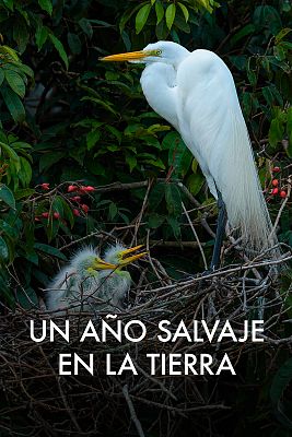 Un año salvaje en la Tierra