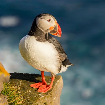 Las islas salvajes de Irlanda