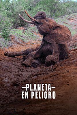 Planeta en peligro